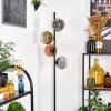 Ripoll floor lamp gold, clear, coppery, Smoke-coloured, 4-light sources