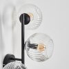 Ripoll globe light, wall light clear, 3-light sources