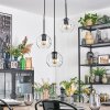 Ripoll hanging light, globe light, Cluster pendant lamp clear, 3-light sources