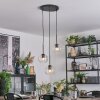 Ripoll hanging light, globe light, Cluster pendant lamp clear, 3-light sources