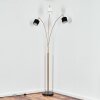 Bassagoda floor lamp brass, black, 3-light sources