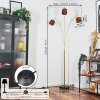 Cando floor lamp brass, black, 3-light sources