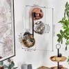 Ripoll globe light, wall light chrome, gold, clear, coppery, Smoke-coloured, 3-light sources