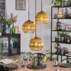 Koyoto hanging light, globe light, Cluster pendant lamp gold, clear, 3-light sources