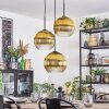 Koyoto hanging light, globe light, Cluster pendant lamp gold, clear, 3-light sources