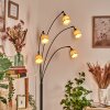 Lindberg floor lamp black, 5-light sources