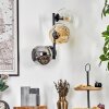 Ripoll globe light, wall light Amber, clear, Smoke-coloured, 3-light sources