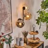 Ripoll globe light, wall light Amber, clear, Smoke-coloured, 3-light sources