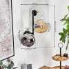 Ripoll globe light, wall light Amber, clear, Smoke-coloured, 3-light sources