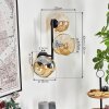Ripoll globe light, wall light Amber, 3-light sources