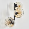 Ripoll globe light, wall light Amber, clear, 3-light sources