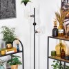Koyoto floor lamp 31 cm clear, 3-light sources