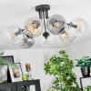 Ripoll ceiling light, globe light Amber, clear, Smoke-coloured, 7-light sources
