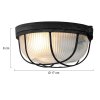 Steinhauer lights Lisanne ceiling light transparent, 1-light source
