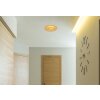 Globo lighting Heda ceiling light LED gold, 1-light source