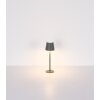 Globo lighting Vannie table lamp LED brass, 1-light source
