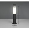 Trio lights Trioto outdoor floor lamp black, 1-light source