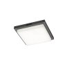 Trio lights BERMEJO ceiling light LED anthracite, 1-light source, Motion sensor