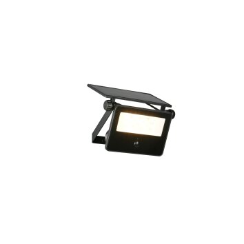 Reality lights Moura wall light LED black, 1-light source, Motion sensor