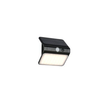 Reality lights OLINDA wall light LED black, 1-light source, Motion sensor