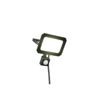 Reality lights FUNCHAL wall light LED black, 1-light source, Motion sensor