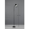 Reality lights Pongo floor lamp LED black, 1-light source