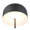 Reality lights Jeff floor lamp LED black, 1-light source