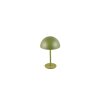 Reality lights Munoz table lamp LED green, 1-light source