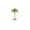 Reality lights Munoz table lamp LED green, 1-light source