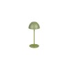 Reality lights Ortiz table lamp LED green, 1-light source