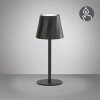 Reality lights Diaz table lamp LED black, 1-light source