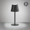 Reality lights Diaz table lamp LED black, 1-light source