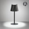 Reality lights Diaz table lamp LED black, 1-light source
