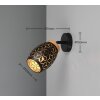 Reality lights und ceiling spotlight, wall and ceiling light, wall spotlight black-gold, 1-light source