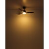 Globo lighting Modesto Ceiling fan light LED grey, 1-light source, Remote control