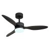 Globo lighting Blackwell Ceiling fan light LED black, 1-light source, Remote control