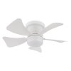 Globo lighting Hines Ceiling fan light LED white, 1-light source, Remote control