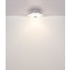 Globo lighting Shelly Ceiling fan light LED white, 1-light source, Remote control