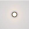 Globo lighting Lasse ceiling light LED black, 1-light source