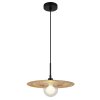 Globo lighting Riga hanging light black, 1-light source