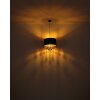 Globo lighting Coletta hanging light gold, black, 1-light source