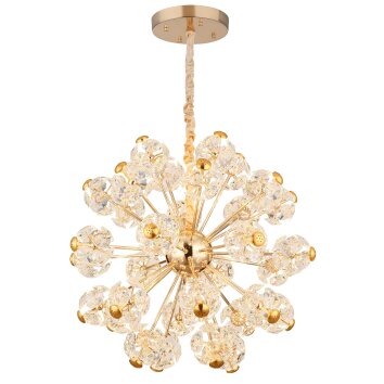 Globo lighting Floriella hanging light LED gold, 1-light source