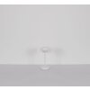 Globo lighting Belinda hanging light LED white, 1-light source