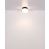 Globo lighting Trenton ceiling light LED black, 1-light source