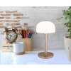 Mushroom Lamp  Globo lighting Norman table lamp LED champagne, 1-light source