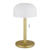 Globo lighting Norman table lamp LED brass, 1-light source