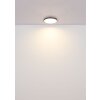 Globo lighting Nielsen ceiling light LED white, 1-light source