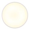 Globo lighting Nielsen ceiling light LED white, 1-light source