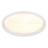 Globo lighting Tyrone ceiling light LED white, 1-light source