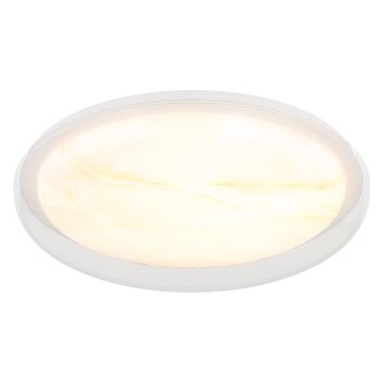 Globo lighting Tyrone ceiling light LED white, 1-light source